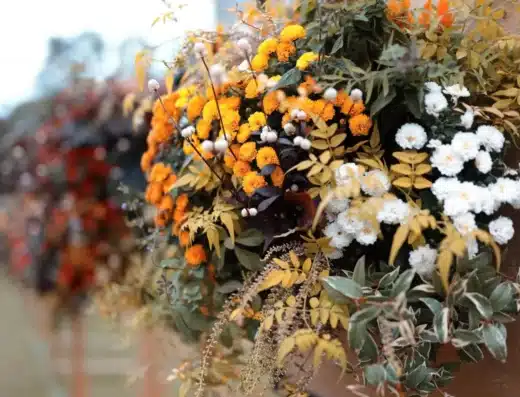 Hibiya Park Gardening Show 2026 – Tokyo, Japan