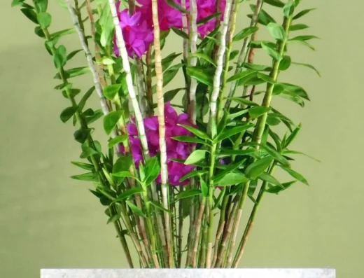 Japan International Orchid and Flower Show 2027 – Tokyo, Japan