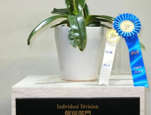 Japan International Orchid and Flower Show 2027 – Tokyo, Japan