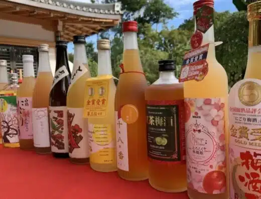 Japan Umeshu Festival in Tokyo