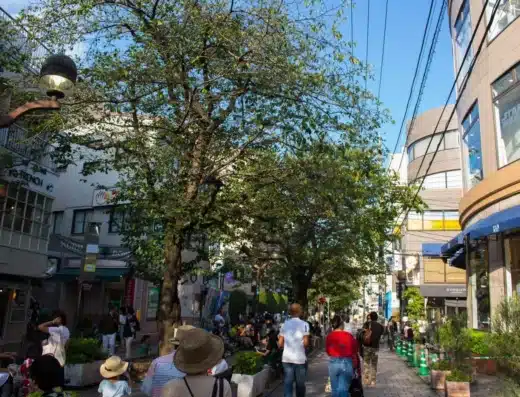 Jiyugaoka Megami Festival