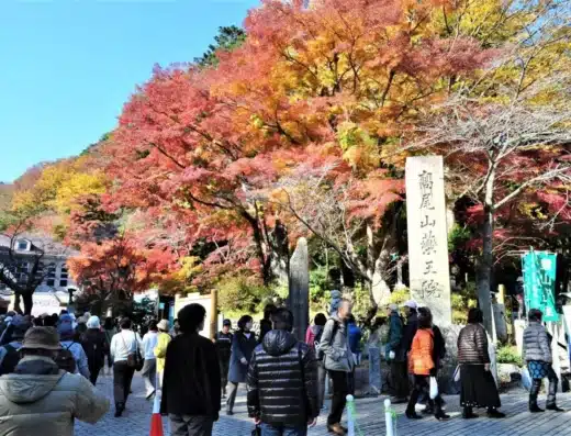 Mount Takao Autumn Leaves Festival