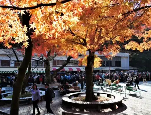 Mount Takao Autumn Leaves Festival 2026 – Hachioji, Japan