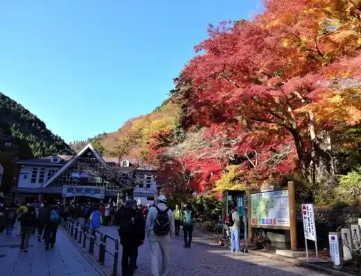 Mount Takao Autumn Leaves Festival 2026 – Hachioji, Japan