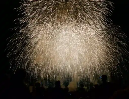 Ota Fireworks Festival by Tama River 2026 – Tokyo, Japan