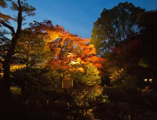Rikugien Garden Autumn Illumination 2026 – Tokyo, Japan