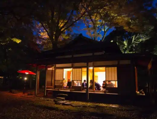 Rikugien Garden Autumn Illumination