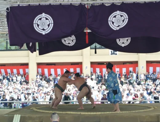 Sumo at Yasukuni Shrine 2027 – Tokyo, Japan