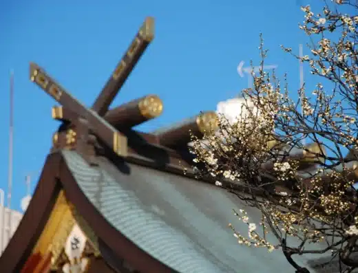 Yushima Tenjin Ume Matsuri 2027 – Tokyo, Japan