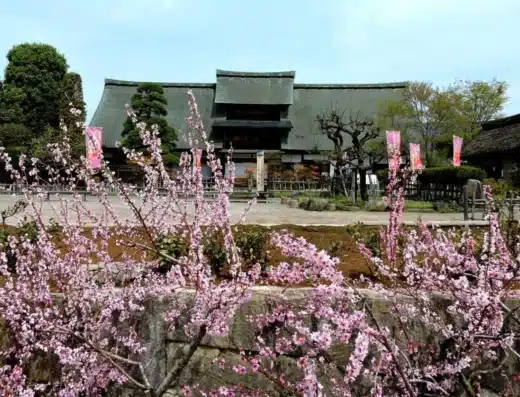Hina Doll Festival in Enzan 2027 – Koshu, Japan