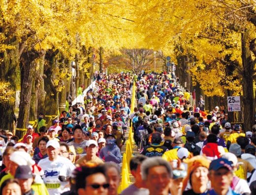 Nara Marathon 2026 – Japan