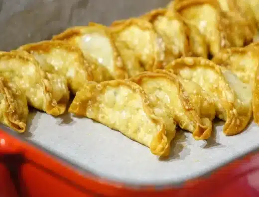 All Japan Gyoza Festival 2027 – Nagoya, Japan