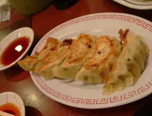 All Japan Gyoza Festival 2027 – Nagoya, Japan