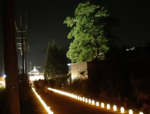 Slug Festival 2027 – Nakatsugawa, Japan