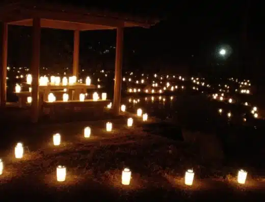 Slug Festival 2027 – Nakatsugawa, Japan