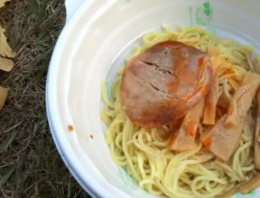 Hiroshima Food Festival 2027 – Japan