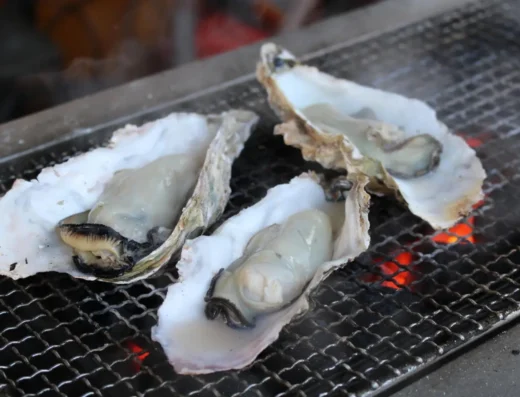 Miyajima Oyster Festival 2027 – Hatsukaichi, Japan