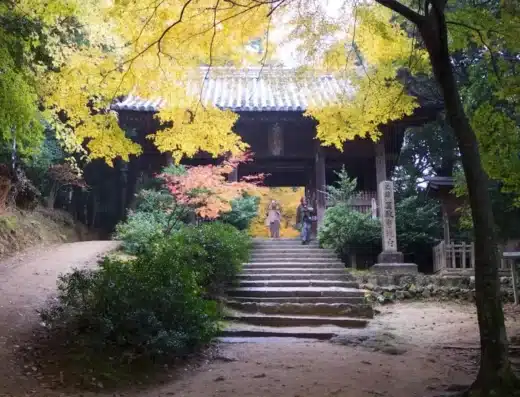 Mt. Shosha Autumn Leaf Festival