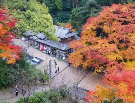 Mt. Shosha Autumn Leaf Festival 2026 – Himeji, Japan