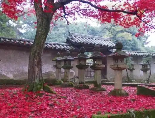 Mt. Shosha Autumn Leaf Festival 2026 – Himeji, Japan