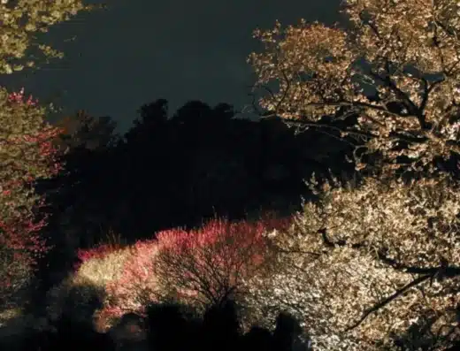 Mito Plum Blossom Festival 2027 – Japan