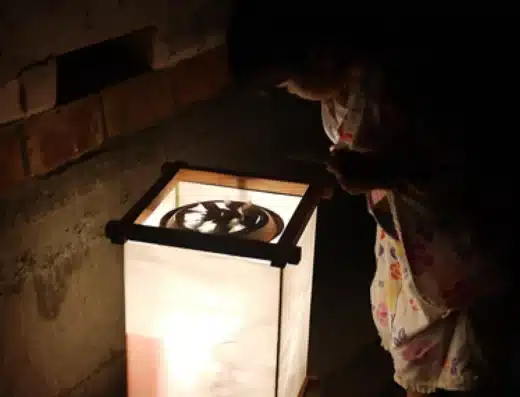 Ekin Festival 2027 – Konan, Japan