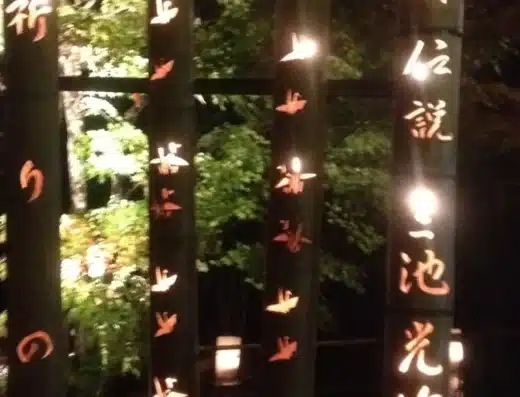 Matsushima Foliage Light Up 2026 – Japan