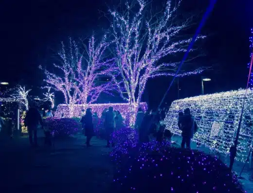 Sendai Pageant of Starlight 2026 – Japan
