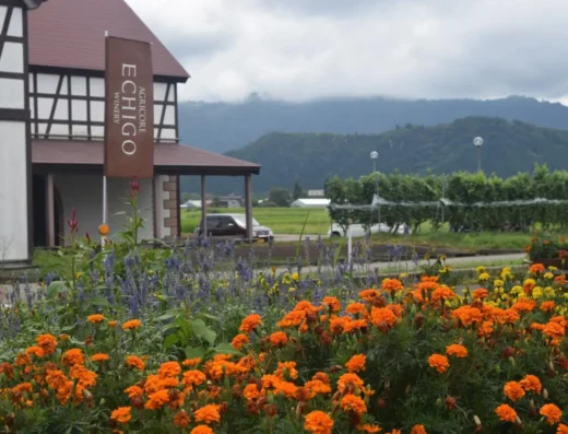 Echigo Winery Grape Festival 2027 – Uonuma, Japan