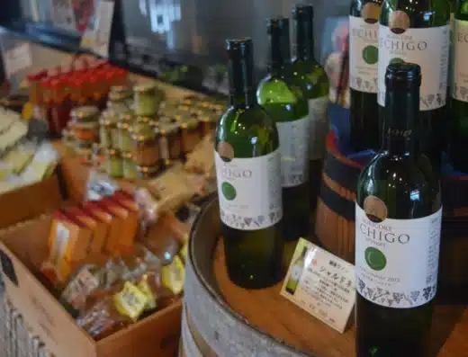 Echigo Winery Grape Festival 2027 – Uonuma, Japan