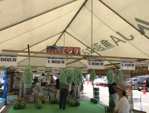 Yairo Watermelon Festival 2027 – Niigata, Japan