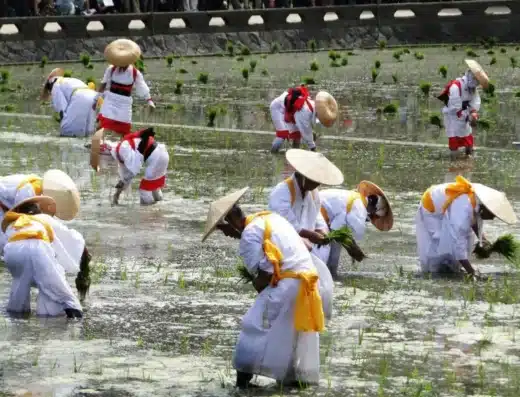 Otaue Rice Planting Festival
