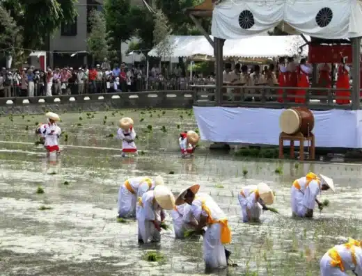 Otaue Rice Planting Festival 2027 – Osaka, Japan