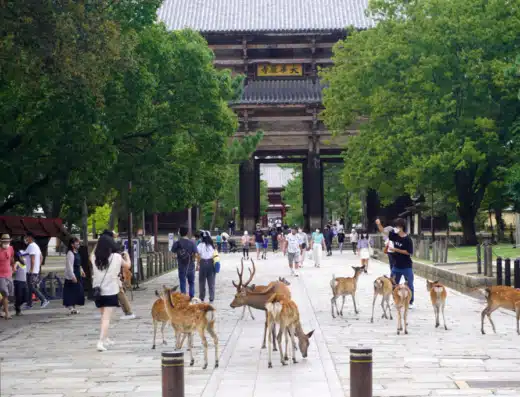 Omizutori 2027 – Nara, Japan