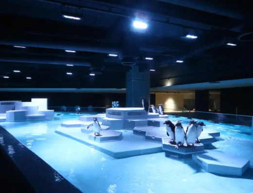 Sapporo International Art Festival (SIAF 2027) – Japan