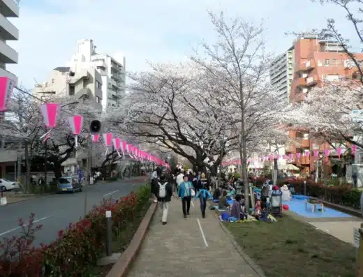 Bunkyo Cherry Blossom Festival 2027 – Tokyo, Japan