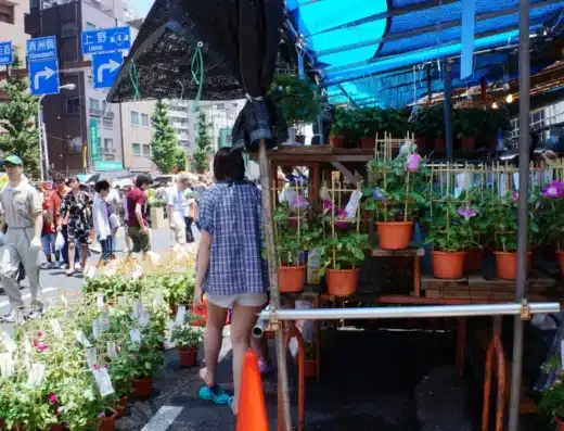 Iriya Asagao Festival 2027 – Tokyo, Japan