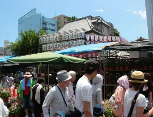 Iriya Asagao Festival