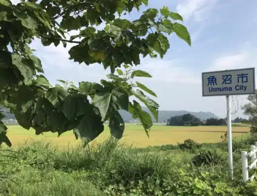 Uonuma no Jin Rice and Sake Festival 2027 – Japan